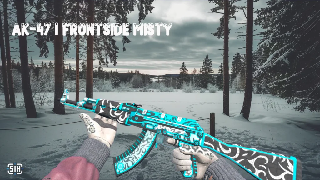 AK-47 | Frontside Misty