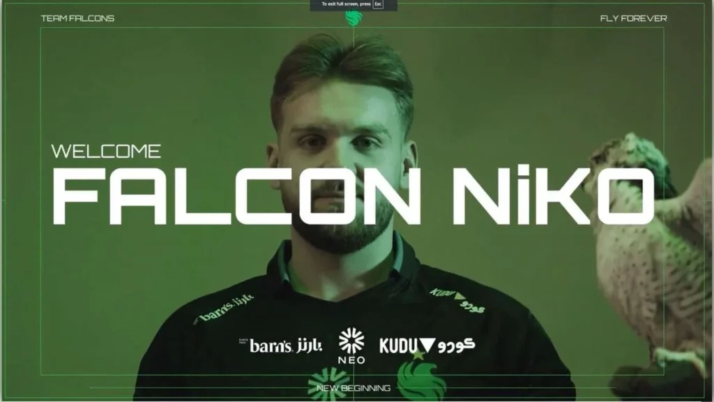 niko in falcons