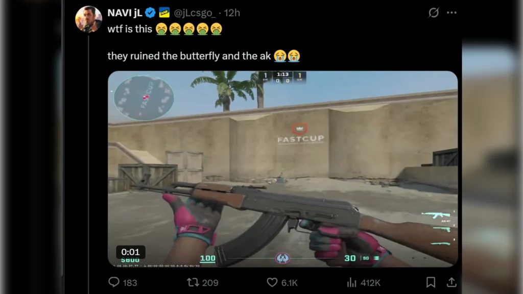 Professional Player Opinions