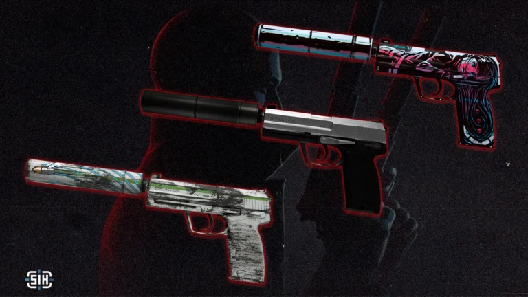 Top USP-S Skins Under $70. Perfect Inventory for a Hitman in CS2