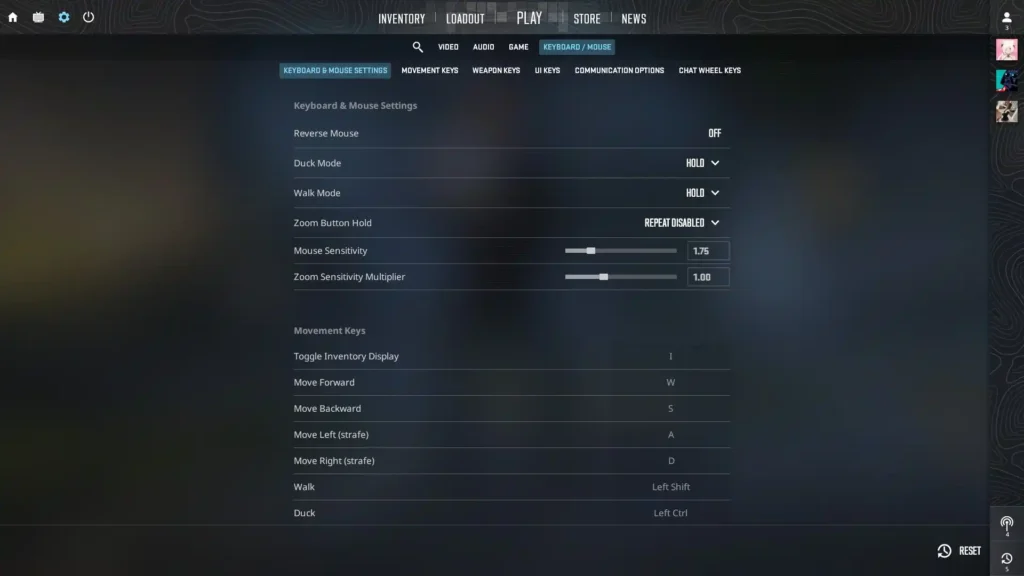 Basic Settings: Make the Game Comfortable and Manageable