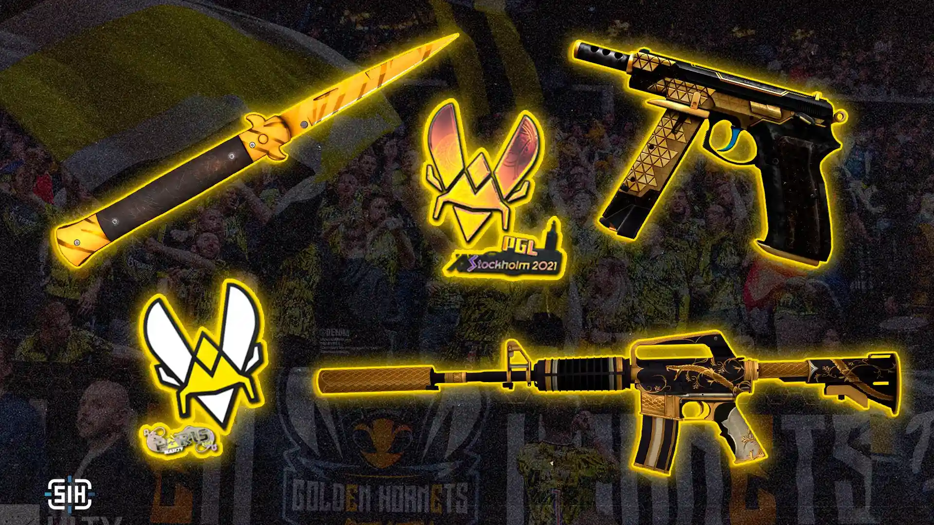 Vitality Fan Collection — Build Your Inventory in the Colors of the Scene’s Top Dominators